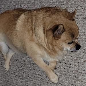 Meet your Posher, Alma